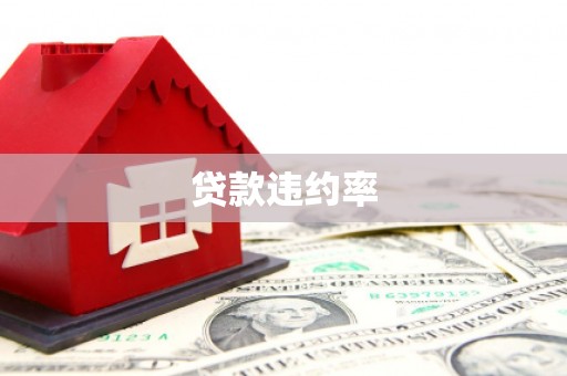 坡头贷款违约率