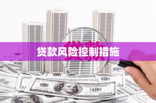 坡头贷款风险控制措施