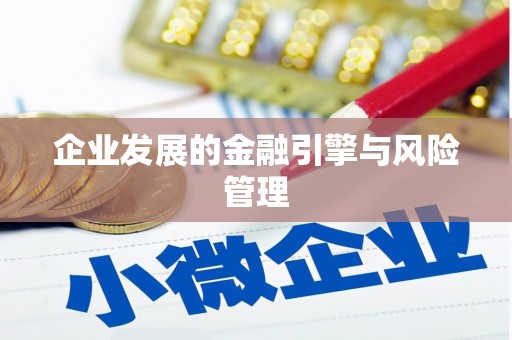坡头企业发展的金融引擎与风险管理