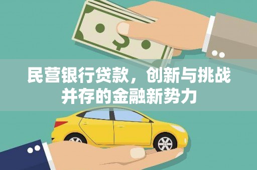 坡头民营银行贷款，创新与挑战并存的金融新势力