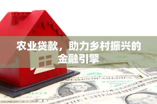 坡头农业贷款，助力乡村振兴的金融引擎