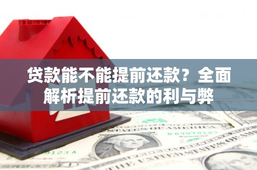 坡头贷款能不能提前还款？全面解析提前还款的利与弊
