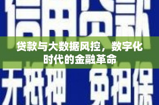 坡头贷款与大数据风控，数字化时代的金融革命