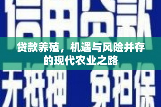 坡头贷款养殖，机遇与风险并存的现代农业之路