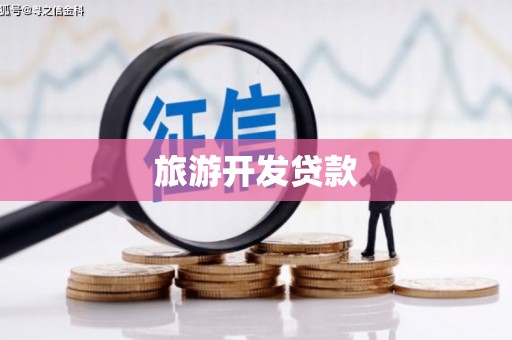 坡头旅游开发贷款