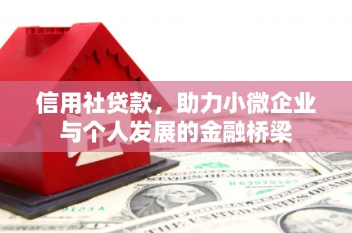 坡头信用社贷款，助力小微企业与个人发展的金融桥梁
