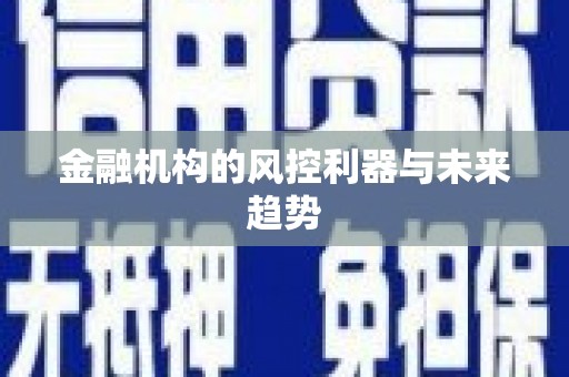 坡头金融机构的风控利器与未来趋势