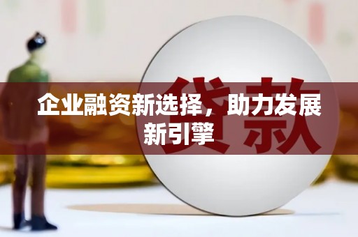 坡头企业融资新选择，助力发展新引擎