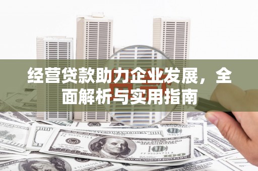 坡头经营贷款助力企业发展，全面解析与实用指南