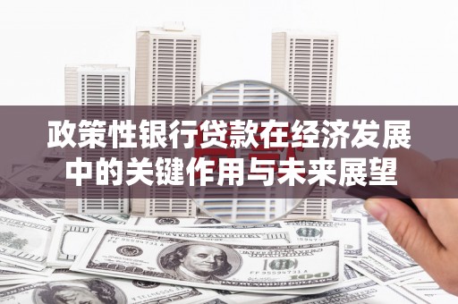 坡头政策性银行贷款在经济发展中的关键作用与未来展望