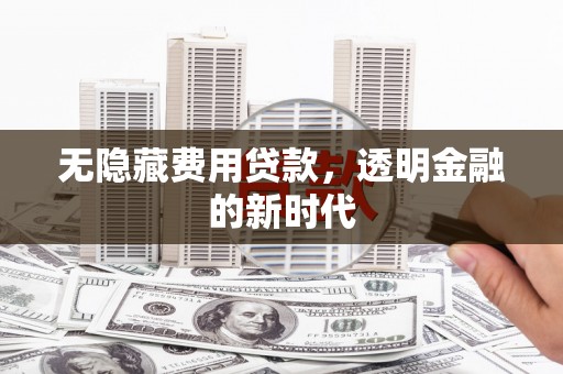 坡头无隐藏费用贷款，透明金融的新时代