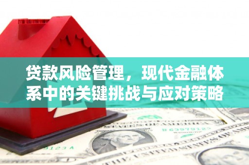 坡头贷款风险管理，现代金融体系中的关键挑战与应对策略