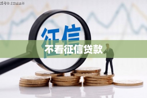 坡头不看征信贷款