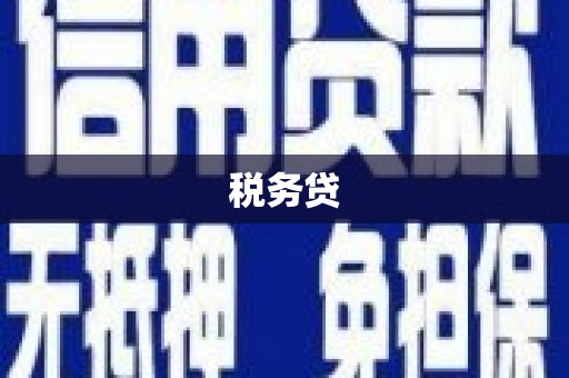 坡头税务贷