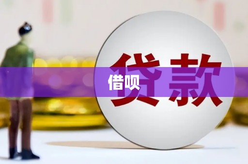 坡头借呗