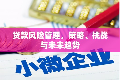 坡头贷款风险管理，策略、挑战与未来趋势
