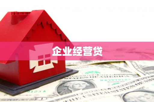 坡头企业经营贷