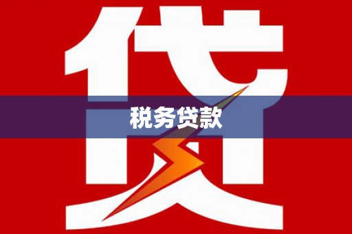 坡头税务贷款