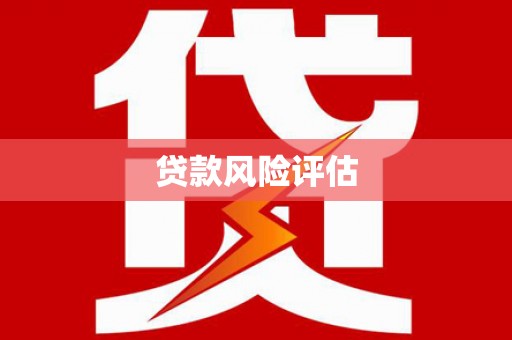 坡头贷款风险评估