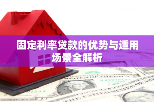 坡头固定利率贷款的优势与适用场景全解析