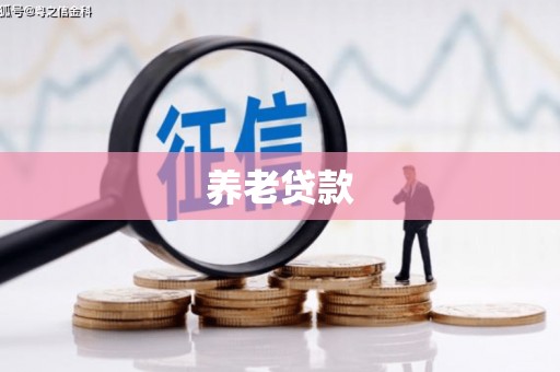 坡头养老贷款