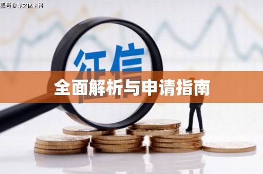坡头全面解析与申请指南