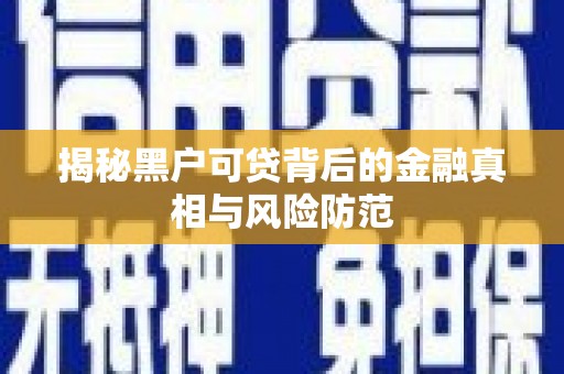 坡头揭秘黑户可贷背后的金融真相与风险防范