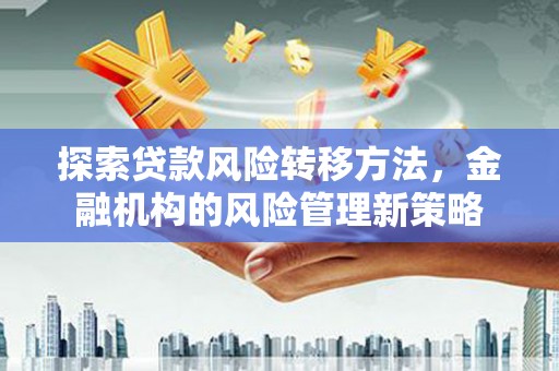 坡头探索贷款风险转移方法，金融机构的风险管理新策略