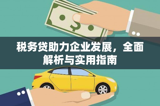 坡头税务贷助力企业发展，全面解析与实用指南