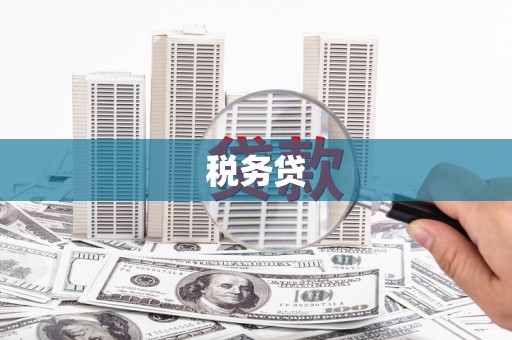 坡头税务贷