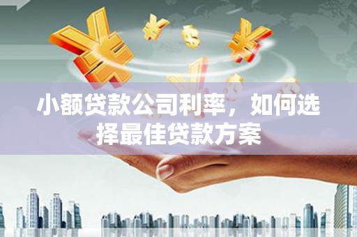 坡头小额贷款公司利率，如何选择最佳贷款方案