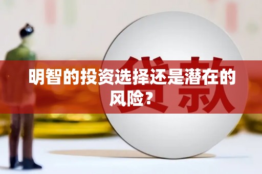 坡头明智的投资选择还是潜在的风险？