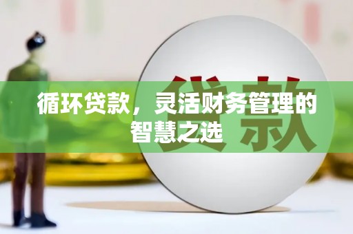 坡头循环贷款，灵活财务管理的智慧之选