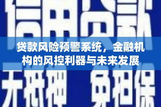 坡头贷款风险预警系统，金融机构的风控利器与未来发展