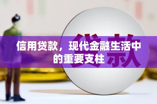 坡头信用贷款，现代金融生活中的重要支柱