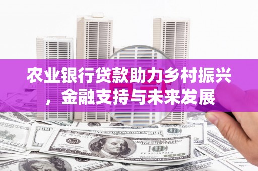 坡头农业银行贷款助力乡村振兴，金融支持与未来发展