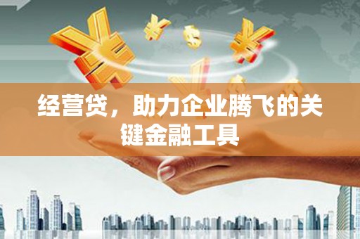 坡头经营贷，助力企业腾飞的关键金融工具