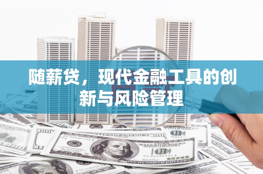 坡头随薪贷，现代金融工具的创新与风险管理