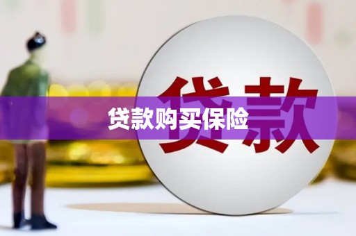 坡头贷款购买保险