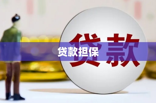 坡头贷款担保