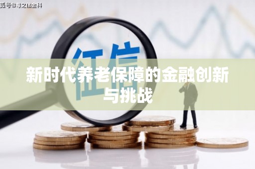 坡头新时代养老保障的金融创新与挑战