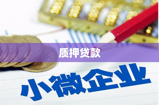 坡头质押贷款