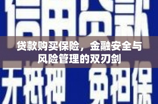 坡头贷款购买保险，金融安全与风险管理的双刃剑