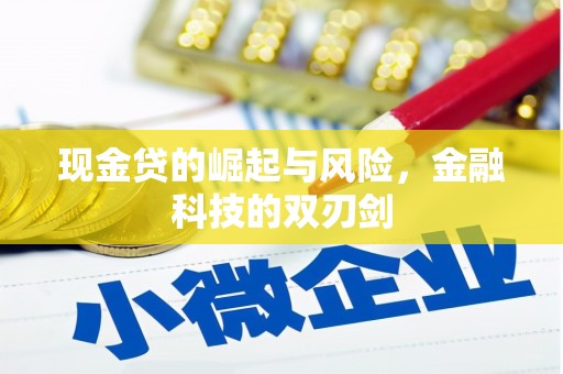 坡头现金贷的崛起与风险，金融科技的双刃剑