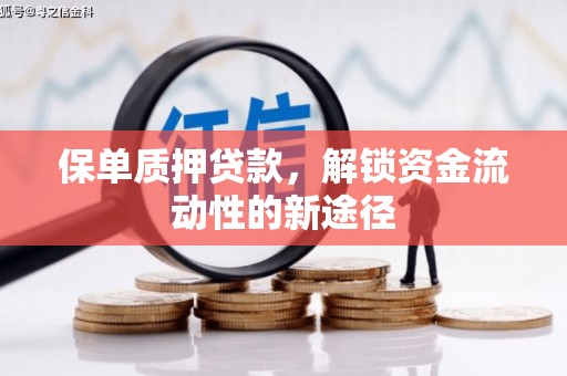 坡头保单质押贷款，解锁资金流动性的新途径
