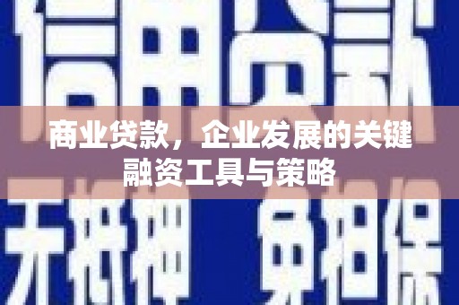 坡头商业贷款，企业发展的关键融资工具与策略