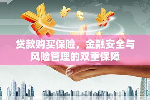 坡头贷款购买保险，金融安全与风险管理的双重保障