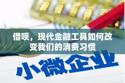 坡头借呗，现代金融工具如何改变我们的消费习惯