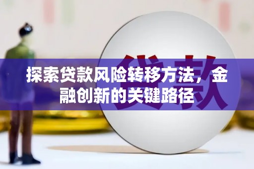坡头探索贷款风险转移方法，金融创新的关键路径