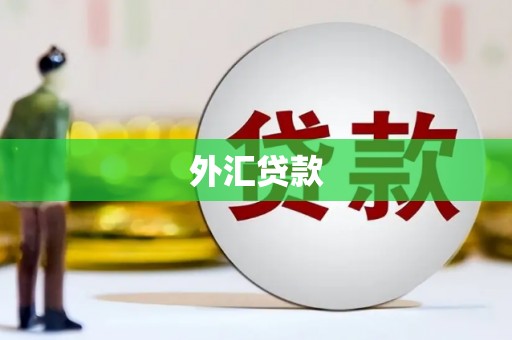 坡头外汇贷款